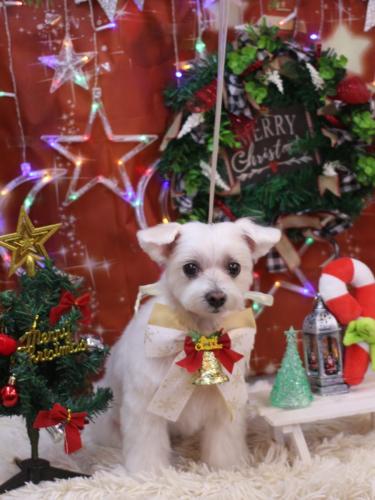 20231223ヒメちゃん